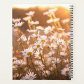 Sunset Oxeye Daisies Planer (Rückseite)