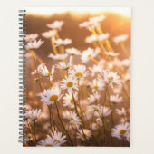 Sunset Oxeye Daisies Planer (Vorderseite)
