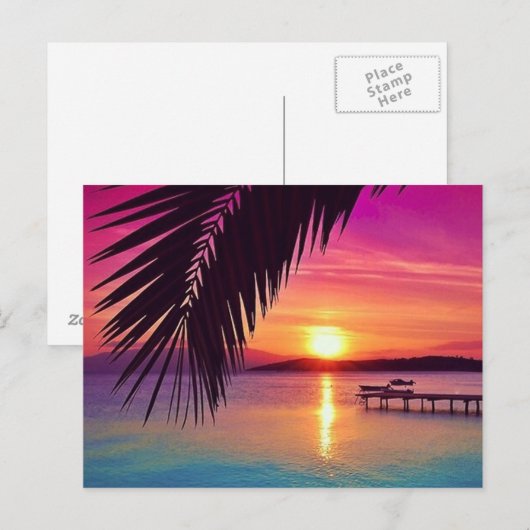 Sunset Palm Postcard Postkarte (Vorne/Hinten)