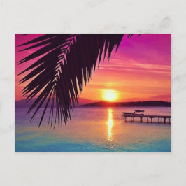 Sunset Palm Postcard Postkarte