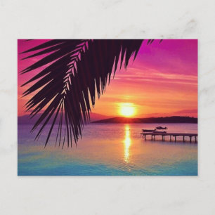 Sunset Palm Postcard Postkarte