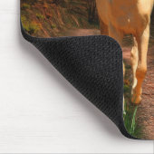 Sunset Palomino Mousepad (Ecke)