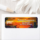 Sunset Plaza Marina 2584 Anschrift (Insitu)