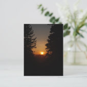 Sunset Postcard 4/29/07 Postkarte (Stehend Vorderseite)