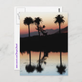 Sunset Postcard Postkarte (Vorne/Hinten)