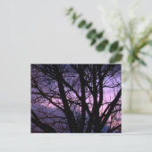 Sunset Postcard Postkarte (Stehend Vorderseite)