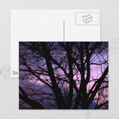 Sunset Postcard Postkarte (Vorne/Hinten)