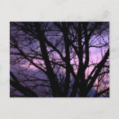 Sunset Postcard Postkarte (Vorderseite)