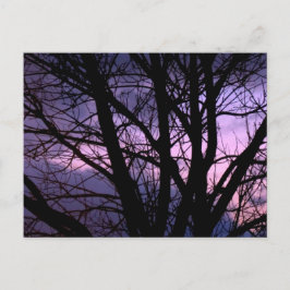 Sunset Postcard Postkarte