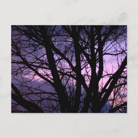 Sunset Postcard Postkarte (Vorderseite)