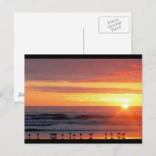 Sunset Postcard Postkarte (Vorne/Hinten)