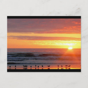Sunset Postcard Postkarte