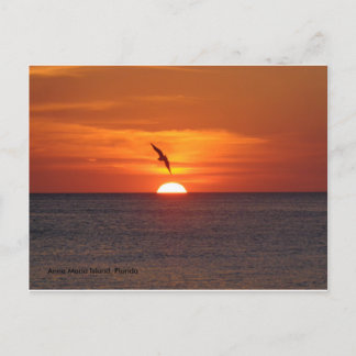 Sunset Postcard Postkarte
