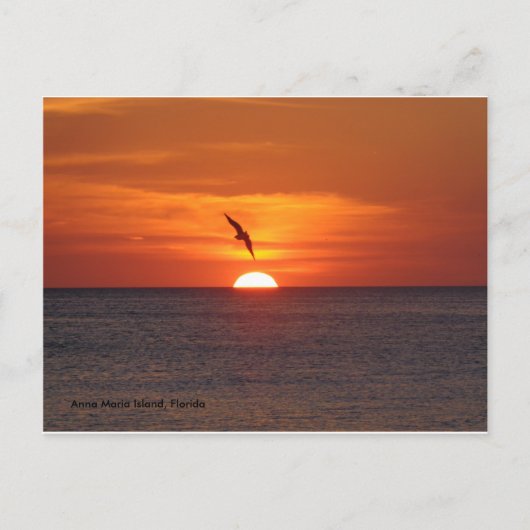 Sunset Postcard Postkarte (Vorderseite)