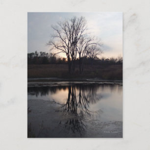 Sunset Reflection Foto Postkarte