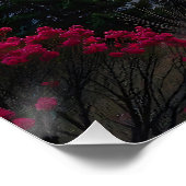 Sunset Reflection Poster (Ecke)