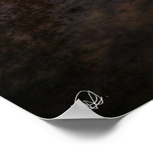 Sunset reflektions poster (Ecke)