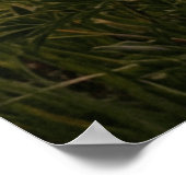 Sunset River Landscape Poster (Ecke)