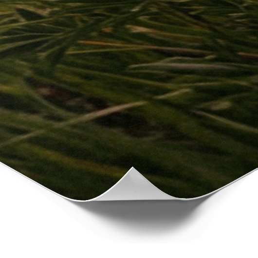 Sunset River Landscape Poster (Ecke)