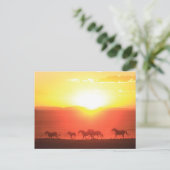 Sunset Run Postkarte (Stehend Vorderseite)