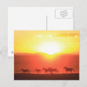 Sunset Run Postkarte (Vorne/Hinten)
