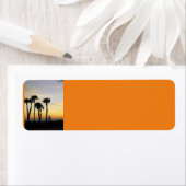 Sunset Sail (Insitu)