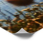 Sunset Sailing Poster (Ecke)