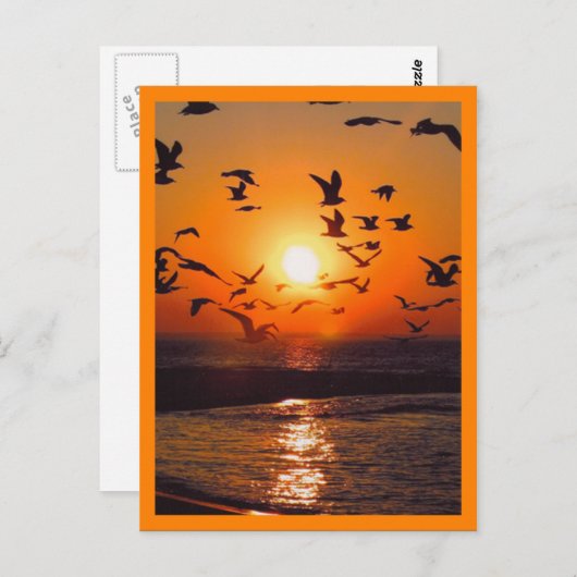 Sunset Scene Orange Border Postkarte (Vorne/Hinten)