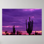Sunset, Scottsdale, Arizona Poster (Vorne)