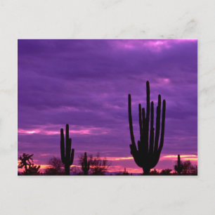 Sunset, Scottsdale, Arizona Postkarte