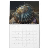 Sunset Shore Kalender (Jan 2026)