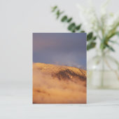 Sunset Snow Mount Bogong Postkarte (Stehend Vorderseite)