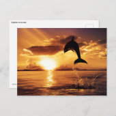 Sunset-Sprung Postkarte (Vorne/Hinten)