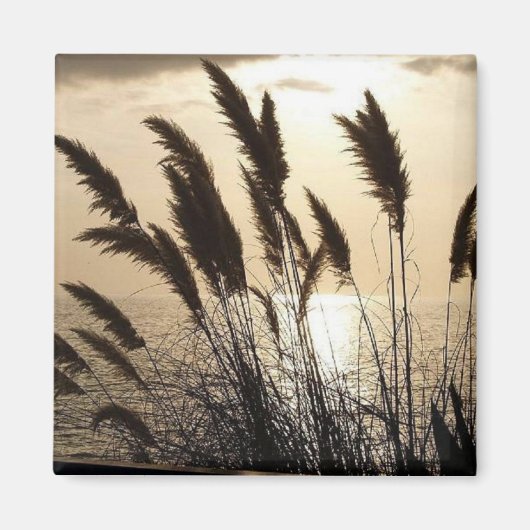 Sunset Square Magnet (Vorne)