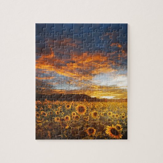 Sunset SunblumenField Puzzle (Vertikal)