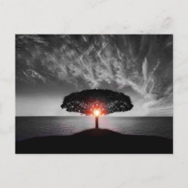 Sunset Sunrise Postkarte