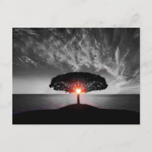 Sunset Sunrise Postkarte (Vorderseite)