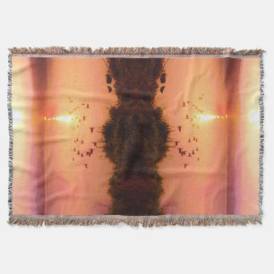 Sunset Sunrise See Beach Küste Peach Orange Decke