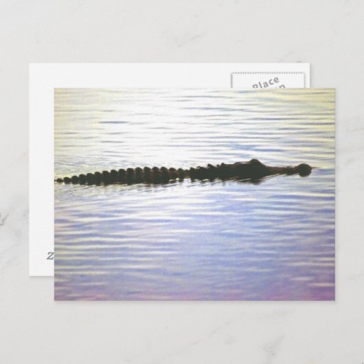 SUNSET SWIM POSTCARD POSTKARTE (Vorne/Hinten)