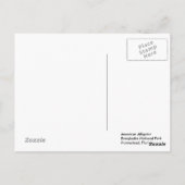 SUNSET SWIM POSTCARD POSTKARTE (Rückseite)