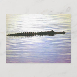 SUNSET SWIM POSTCARD POSTKARTE