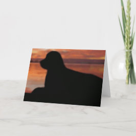 Sunset Sympathy Card Karte
