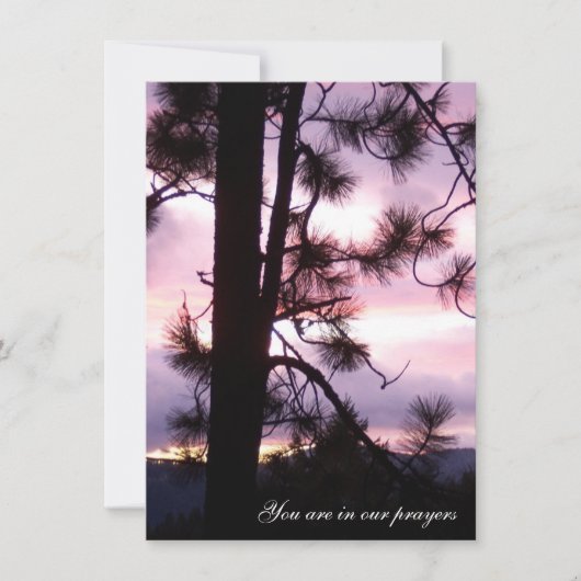 Sunset Sympathy Cards Karte (Vorderseite)