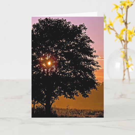 Sunset Tree Beileid Karte (Gelbe Blume)