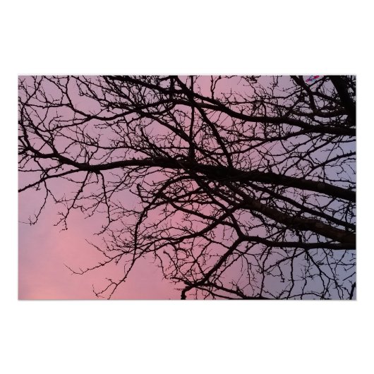 Sunset Tree Branches Photograph Planetm13 Poster (Vorderseite)