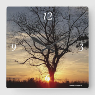 Sunset tree clock quadratische wanduhr