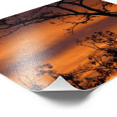 Sunset Tree Fotodruck (Ecke)