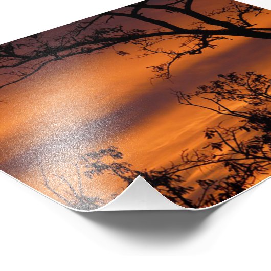 Sunset Tree Fotodruck (Ecke)