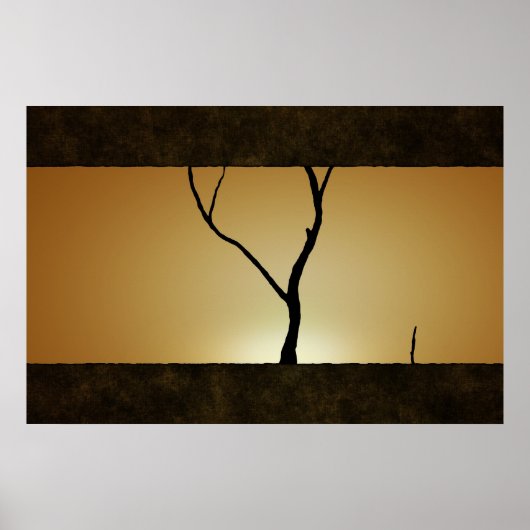 Sunset Tree Poster (Vorne)