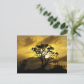 Sunset Tree Postkarte (Stehend Vorderseite)